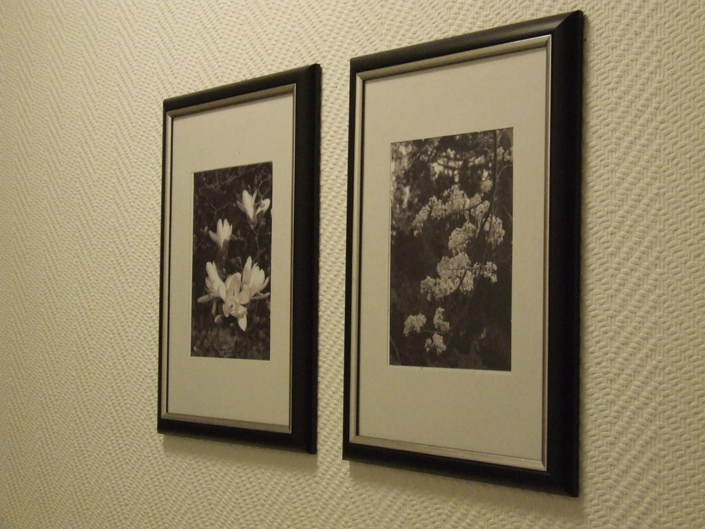 Hotel Residenz Eurostar 3*